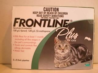 frontline plus for cats